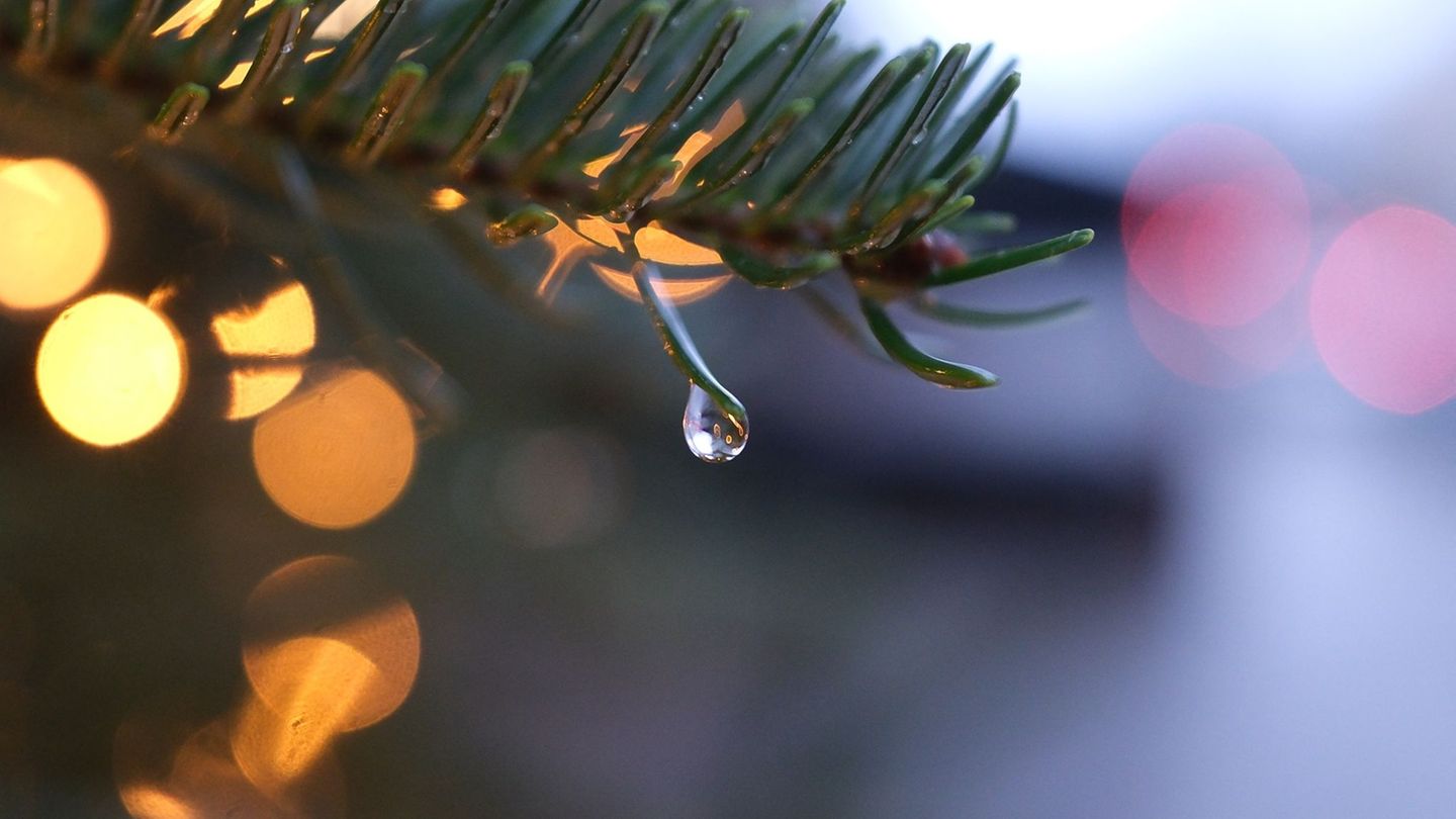 Wetter: Nasskalte Weihnachtsfeiertage in Sachsen