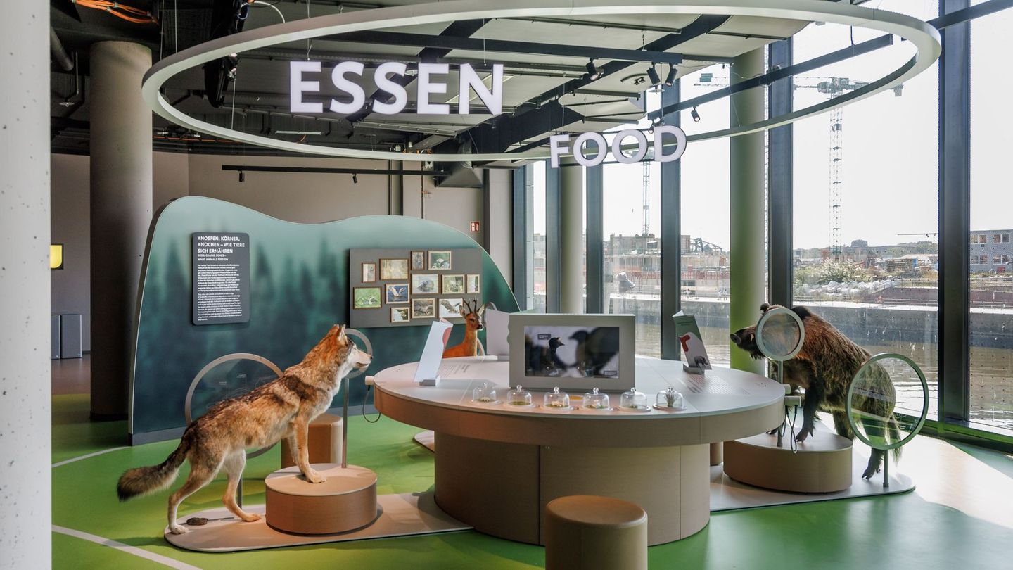 Tierisches Museum in Hafencity: Lernwerkstatt der „Botschaft der Wildtiere“ sehr gefragt