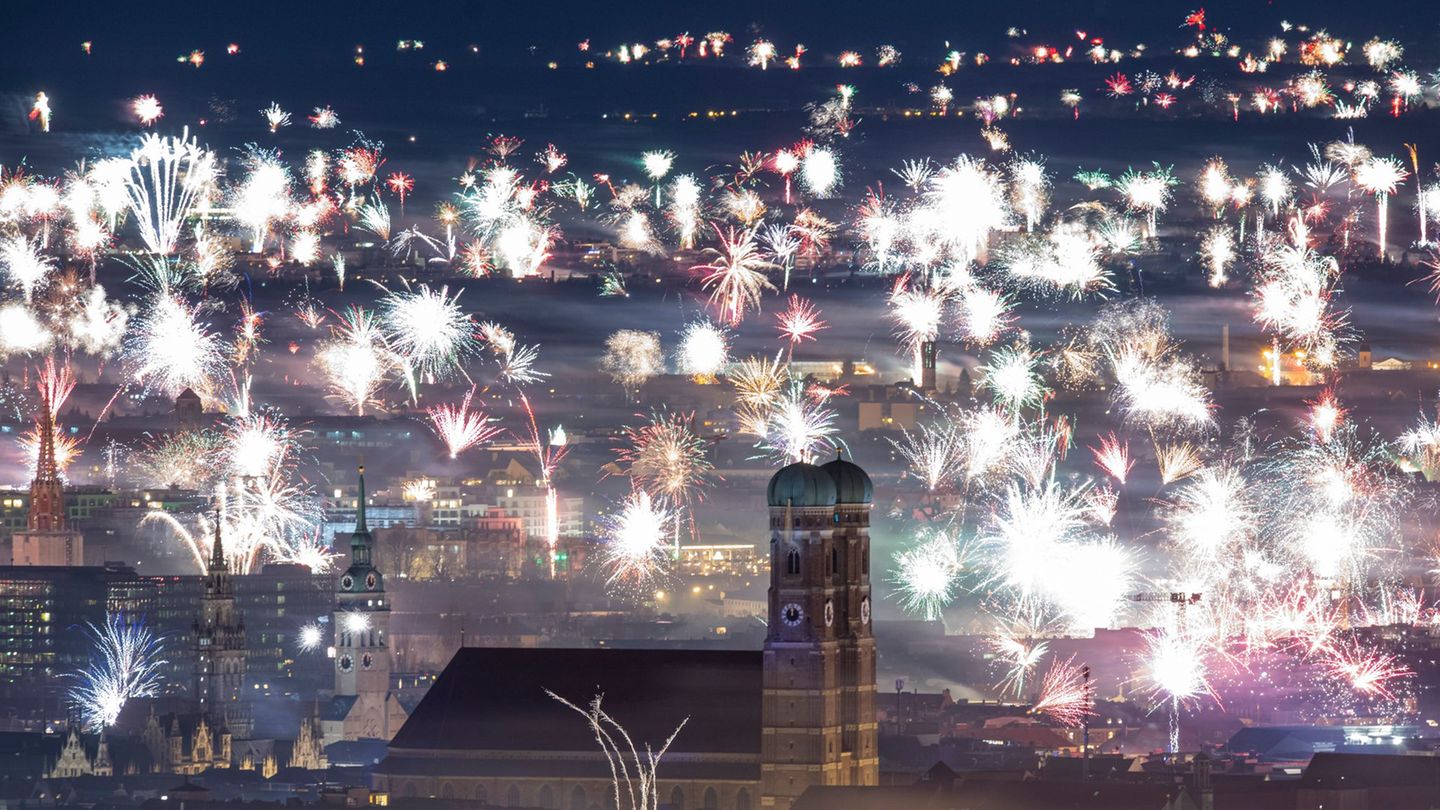 Silvesterfeuerwerk: Laute und helle Silvesternacht stört Wildtiere